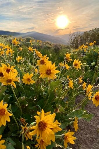 Nine Favorite Things | halfbakedharvest.com