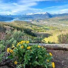 Nine Favorite Things | halfbakedharvest.com