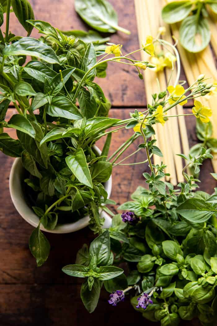 Brown Butter Cherry Tomato Fettuccine Alfredo | halfbakedharvest.com