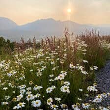 Nine Favorite Things | halfbakedharvest.com