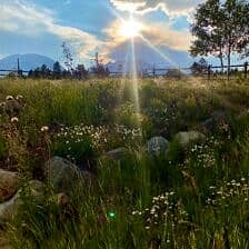 Nine Favorite Things | halfbakedharvest.com