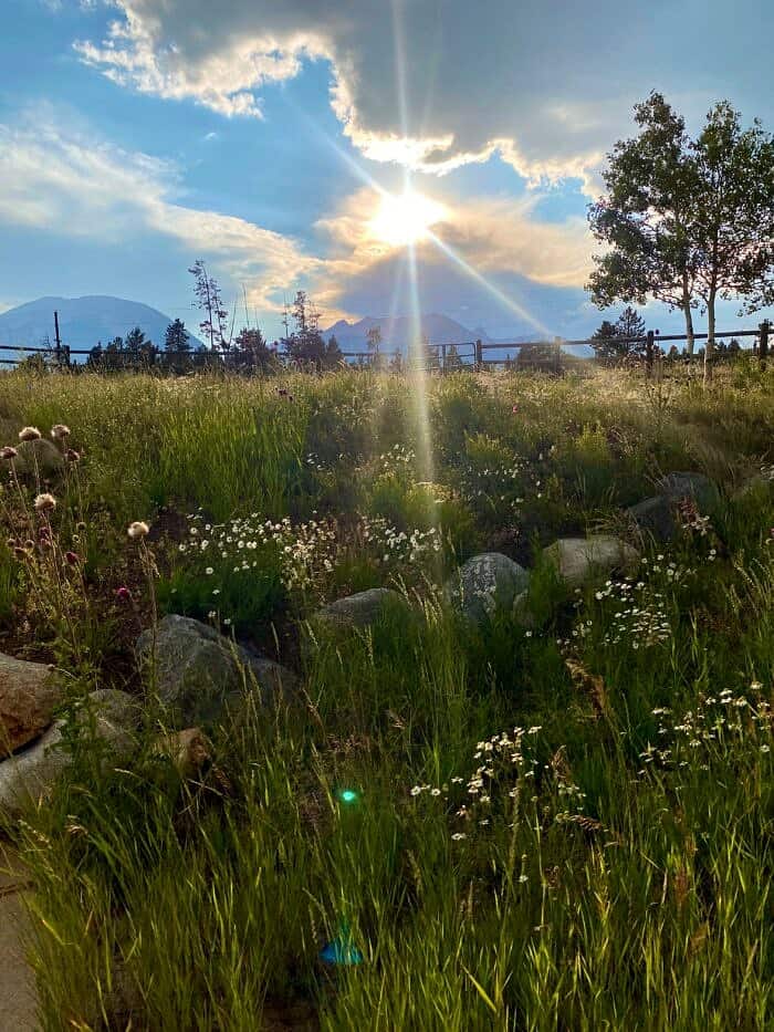 Nine Favorite Things | halfbakedharvest.com