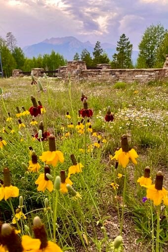 Nine Favorite Things | halfbakedharvest.com