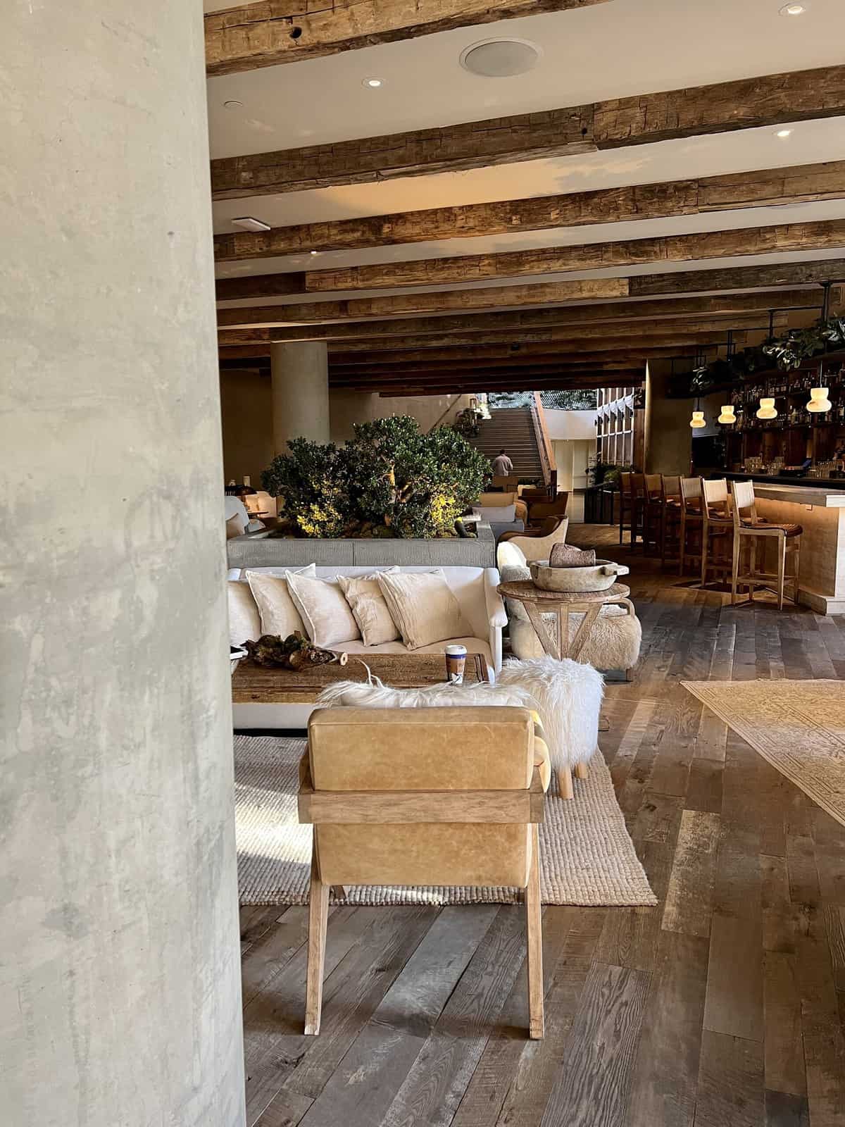 Nine Favorite Things | halfbakedharvest.com