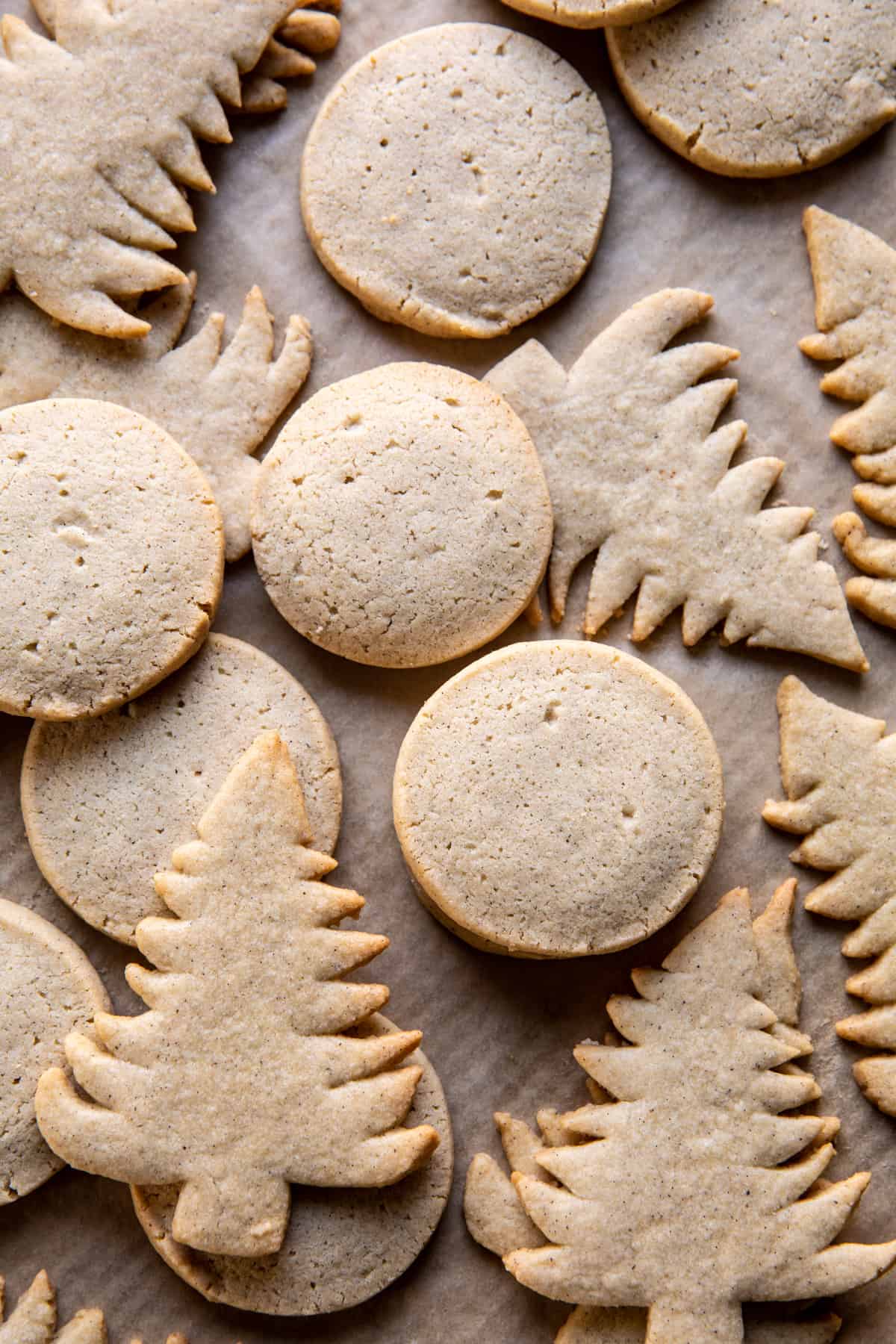 Easy Vanilla Bean Christmas Lights Cookies | halfbakedharvest.com