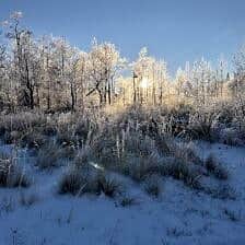 Nine Favorite Things | halfbakedharvest.com