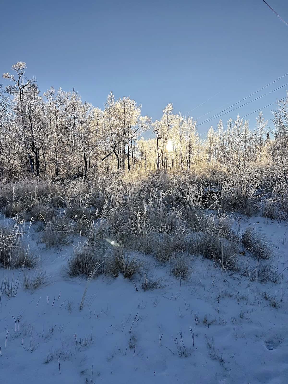 Nine Favorite Things | halfbakedharvest.com