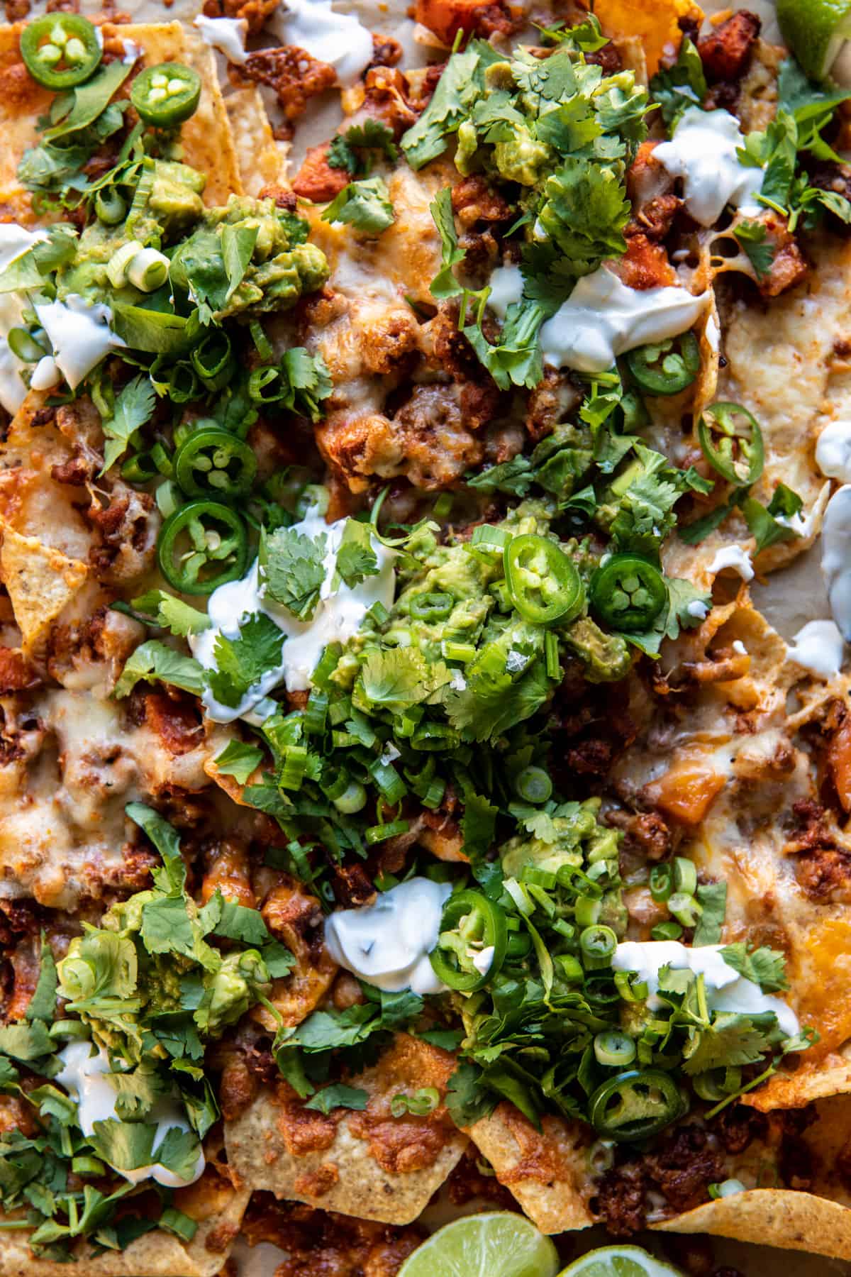 Chipotle Chicken Nachos with Jalapeño Yogurt | halfbakedharvest.com