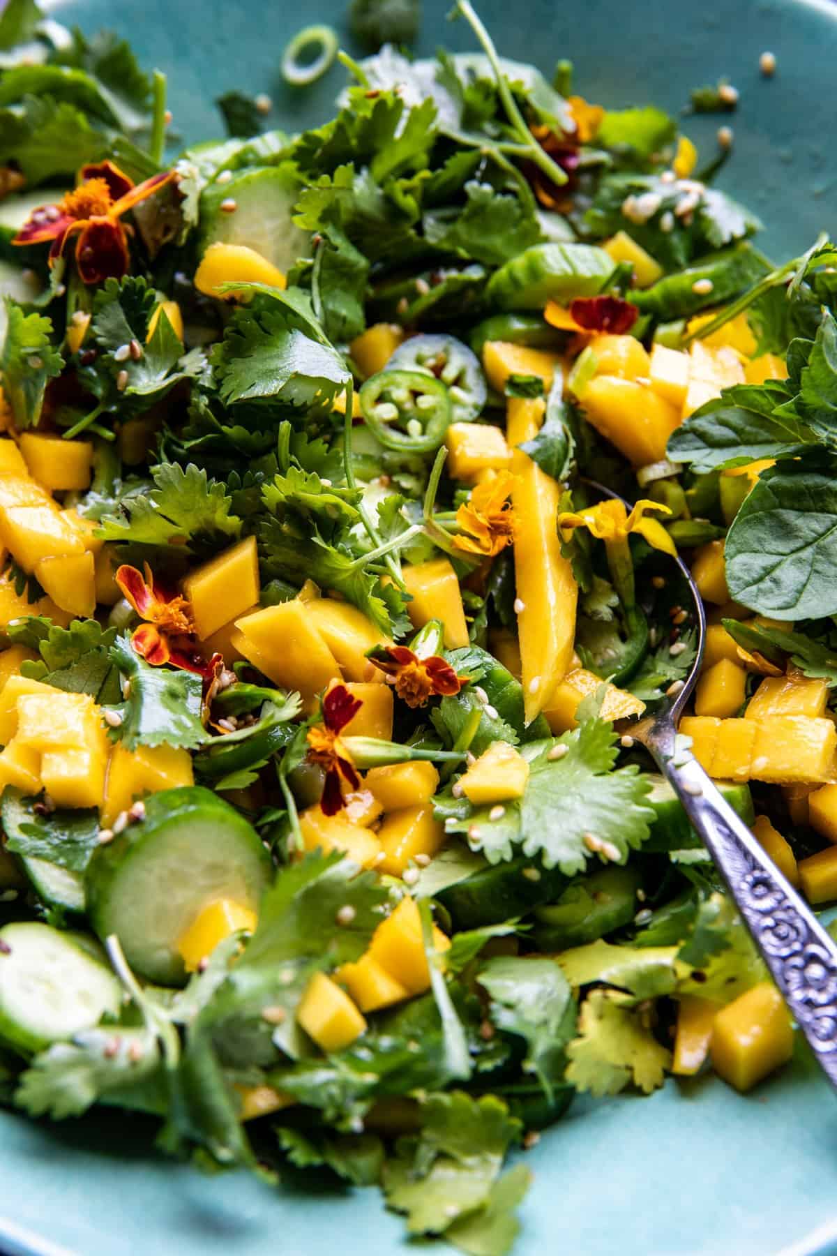 Chili Crisp Chicken Mango Cucumber Rice Bowl | halfbakedharvest.com