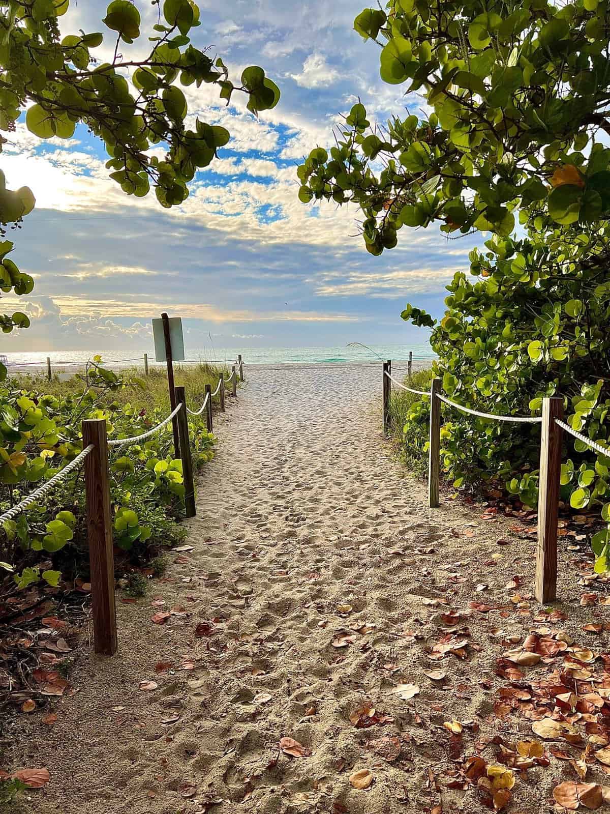 Nine Favorite Things | halfbakedharvest.com