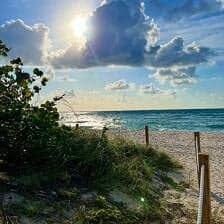 Nine Favorite Things | halfbakedharvest.com