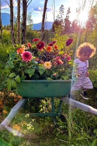 Nine Favorite Things | halfbakedharvest.com