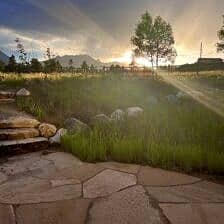 Nine Favorite Things | halfbakedharvest.com