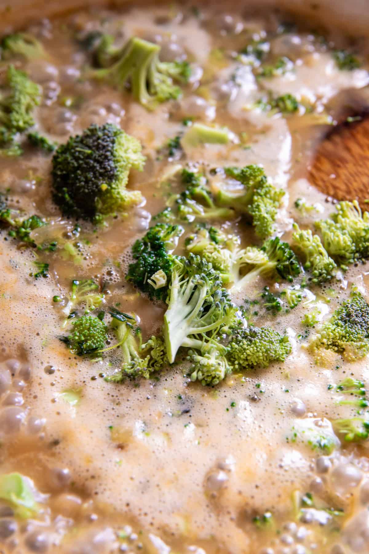 Creamy Broccoli Cheddar Casserole with Garlic Butter Pretzels | halfbakedharvest.com