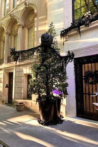 Nine Favorite Things | halfbakedharvest.com