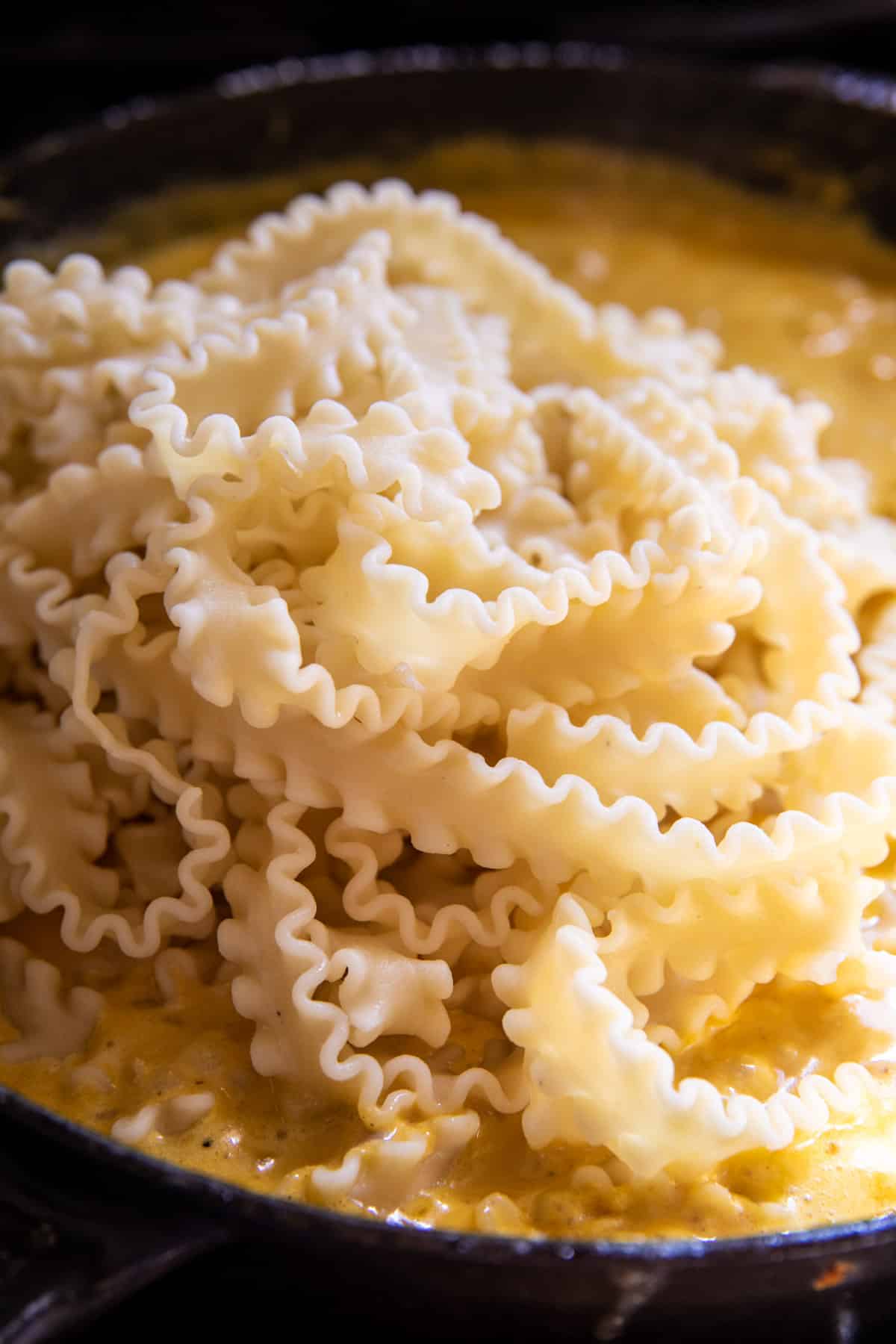 Sage Brown Butter Pumpkin Pasta Alfredo | halfbakedharvest.com