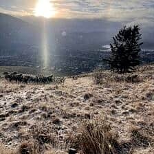 Nine Favorite Things | halfbakedharvest.com