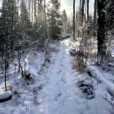 Nine Favorite Things | halfbakedharvest.com