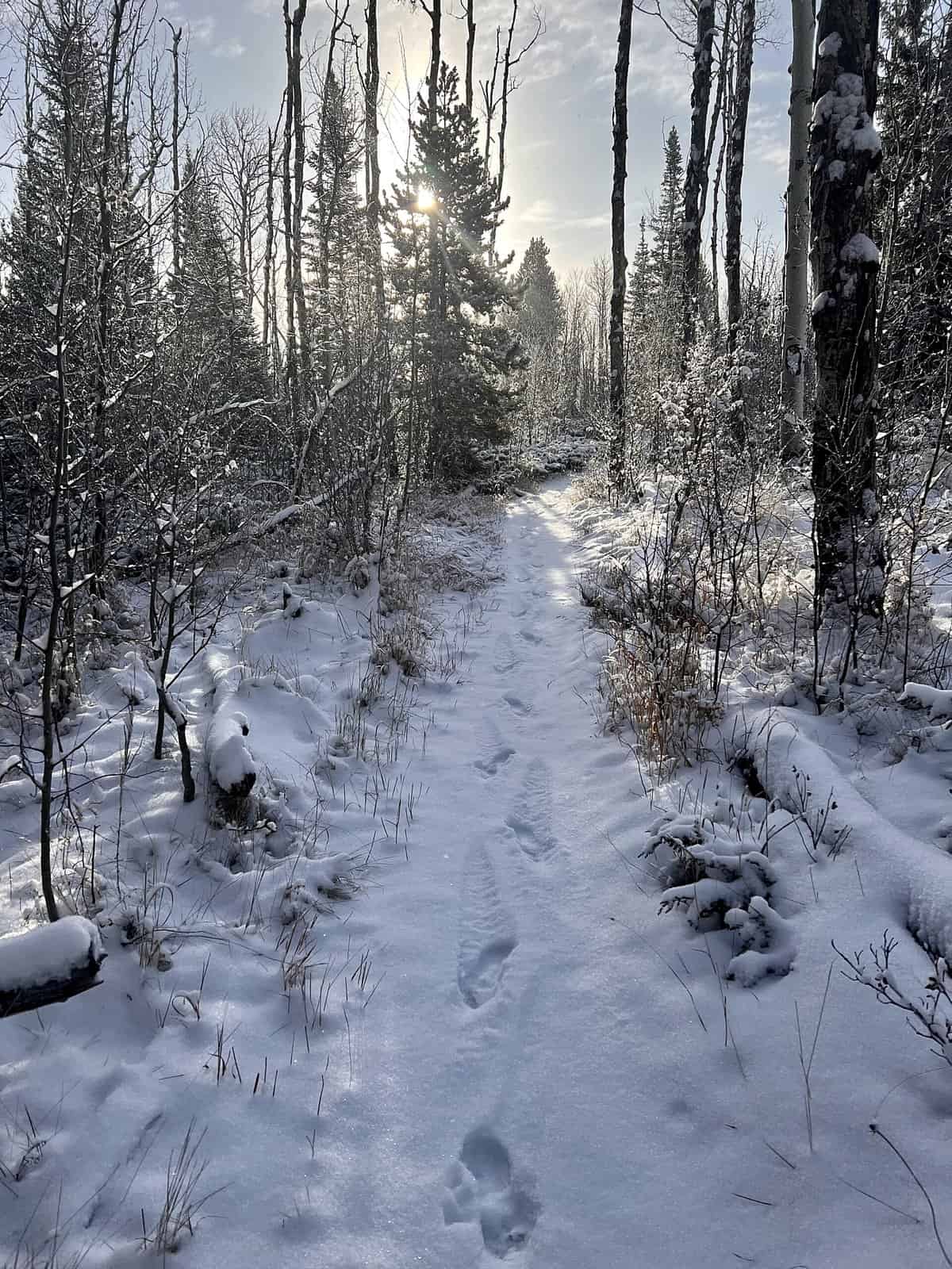 Nine Favorite Things | halfbakedharvest.com