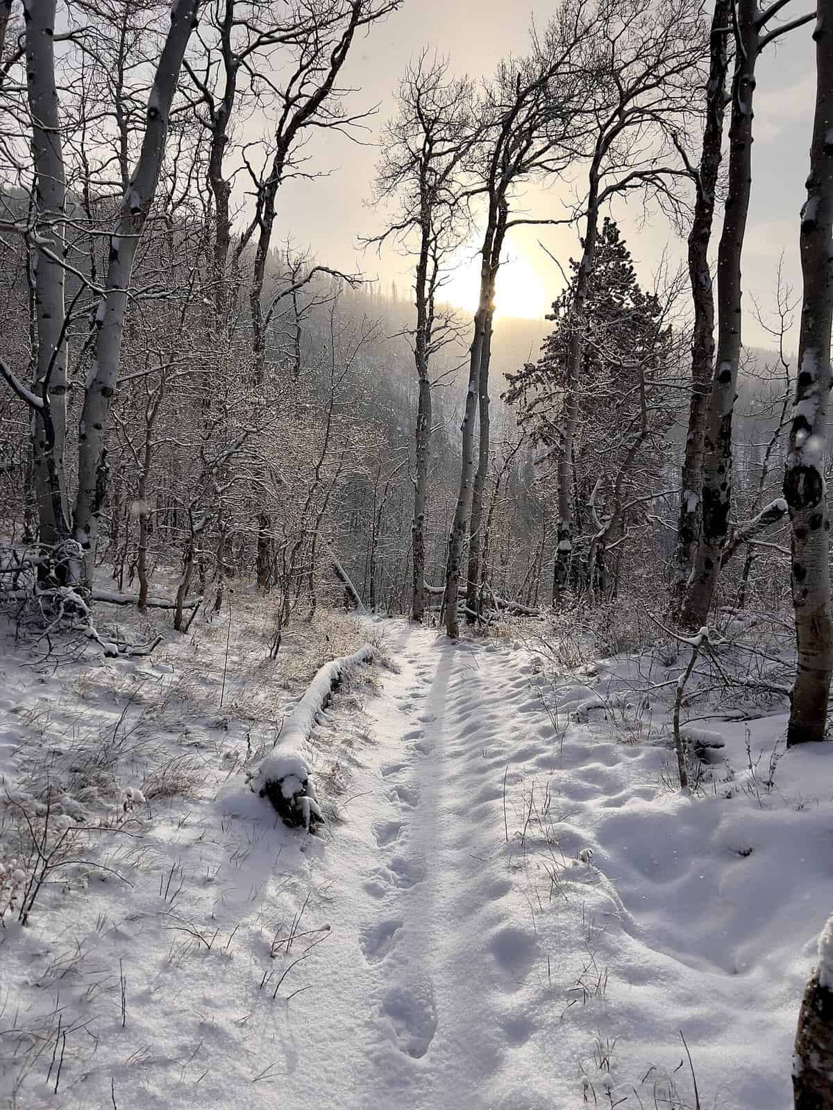 Nine Favorite Things | halfbakedharvest.com