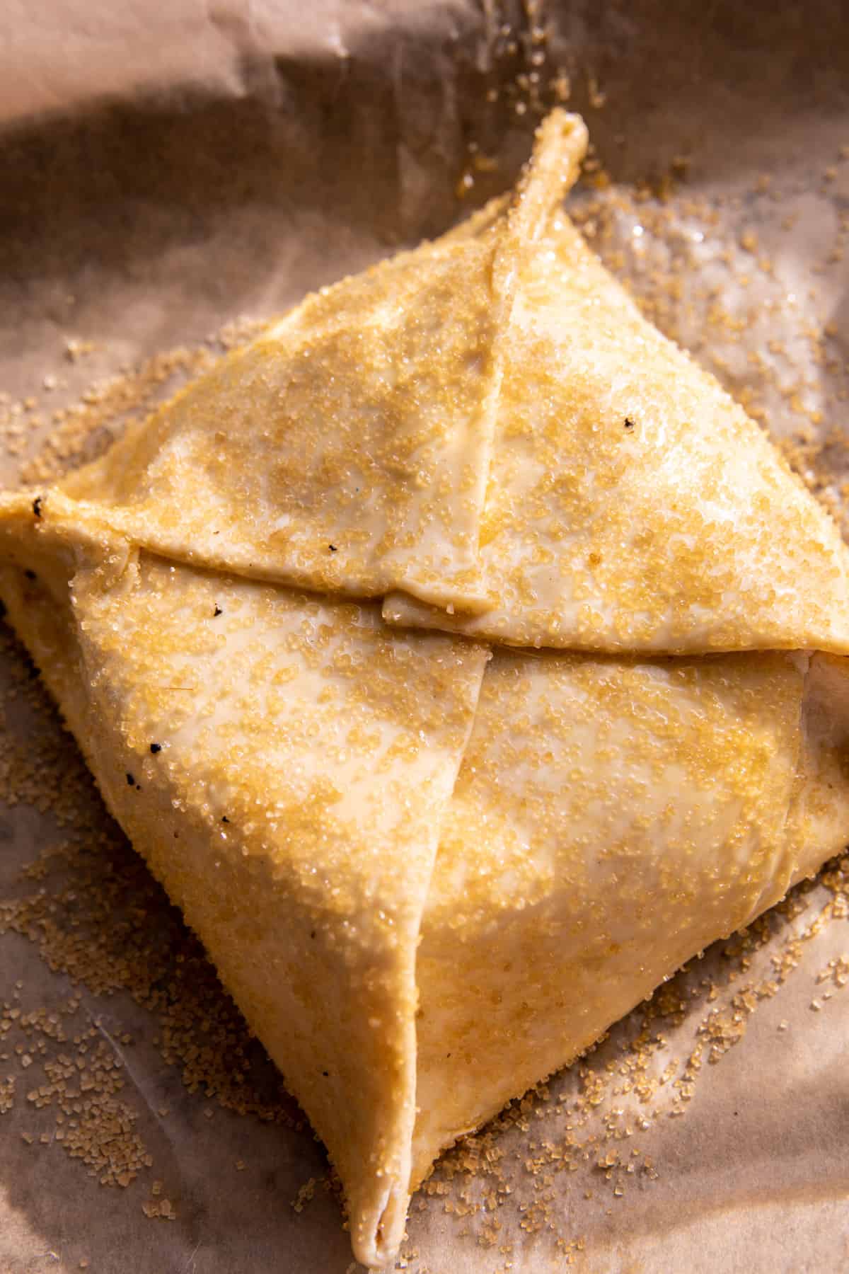 Prosciutto Wrapped Baked Brie in Pastry | HALFBAKEDHARVEST.COM