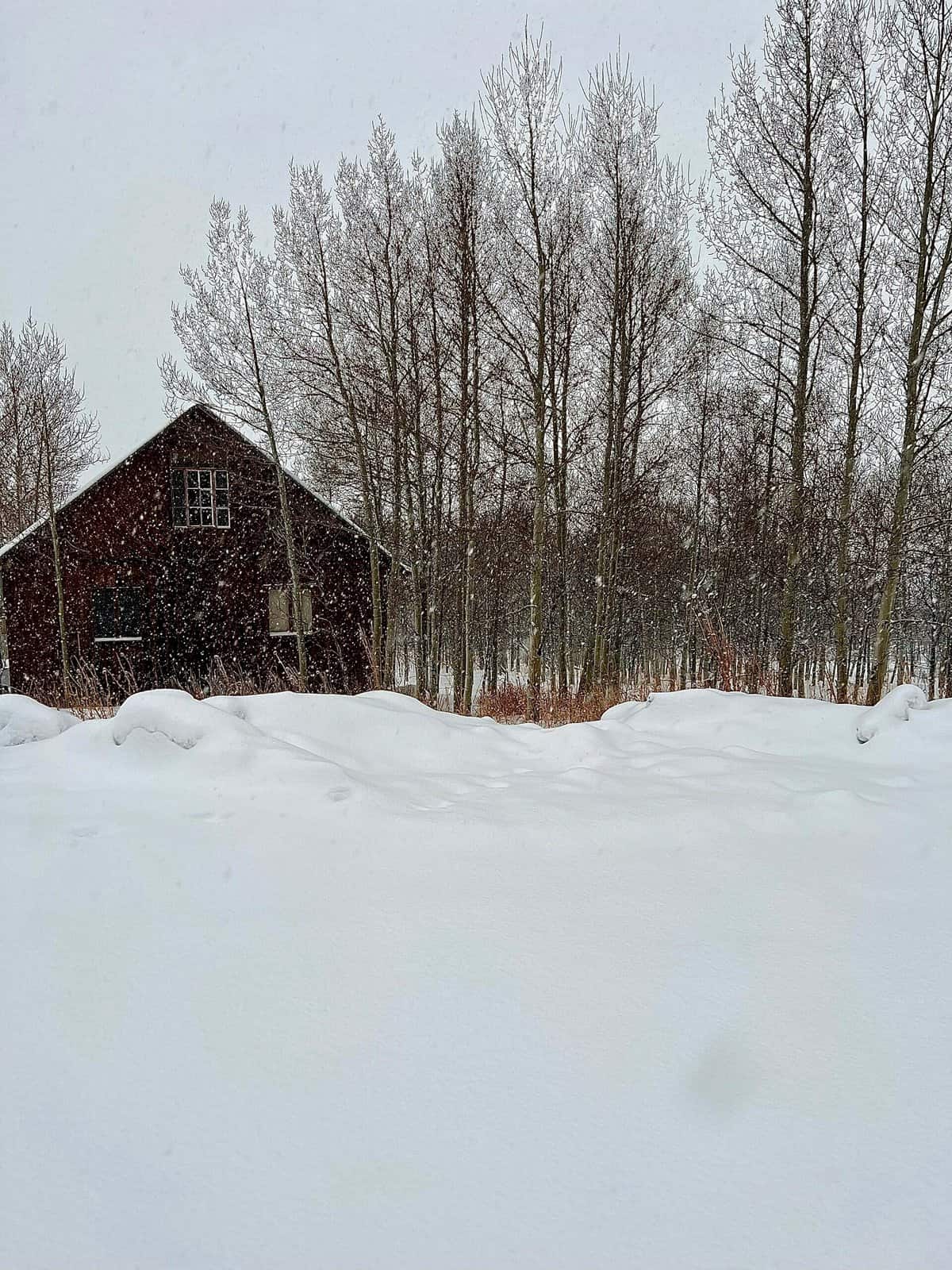 Nine Favorite Things | halfbakedharvest.com