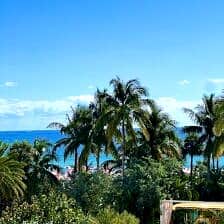 Nine Favorite Things | halfbakedharvest.com