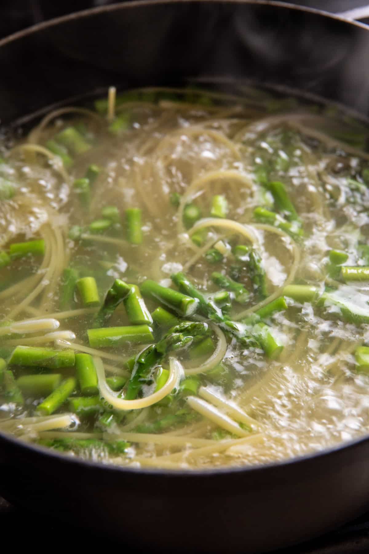 Basil Chicken Fettuccine Alfredo with Prosciutto | halfbakedharvest.com