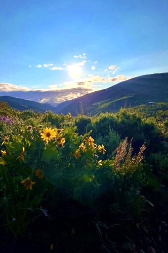 Nine Favorite Things | halfbakedharvest.com