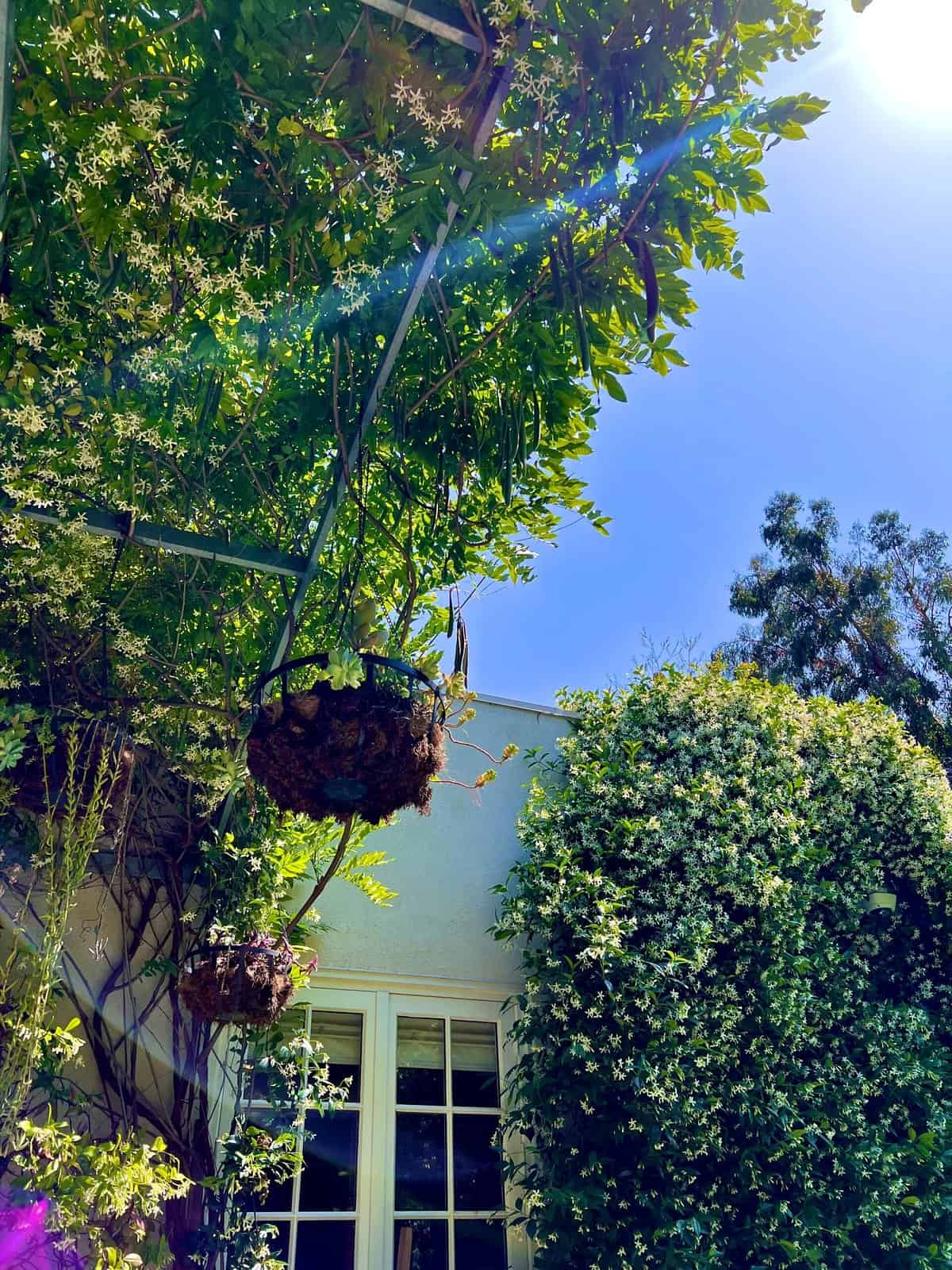 Nine Favorite Things | halfbakedharvest.com