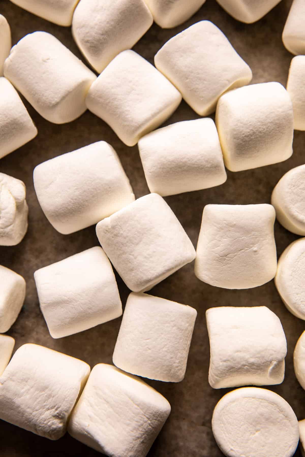 Toasted S'mores Ice Cream Sandwiches | halfbakedharvest.com