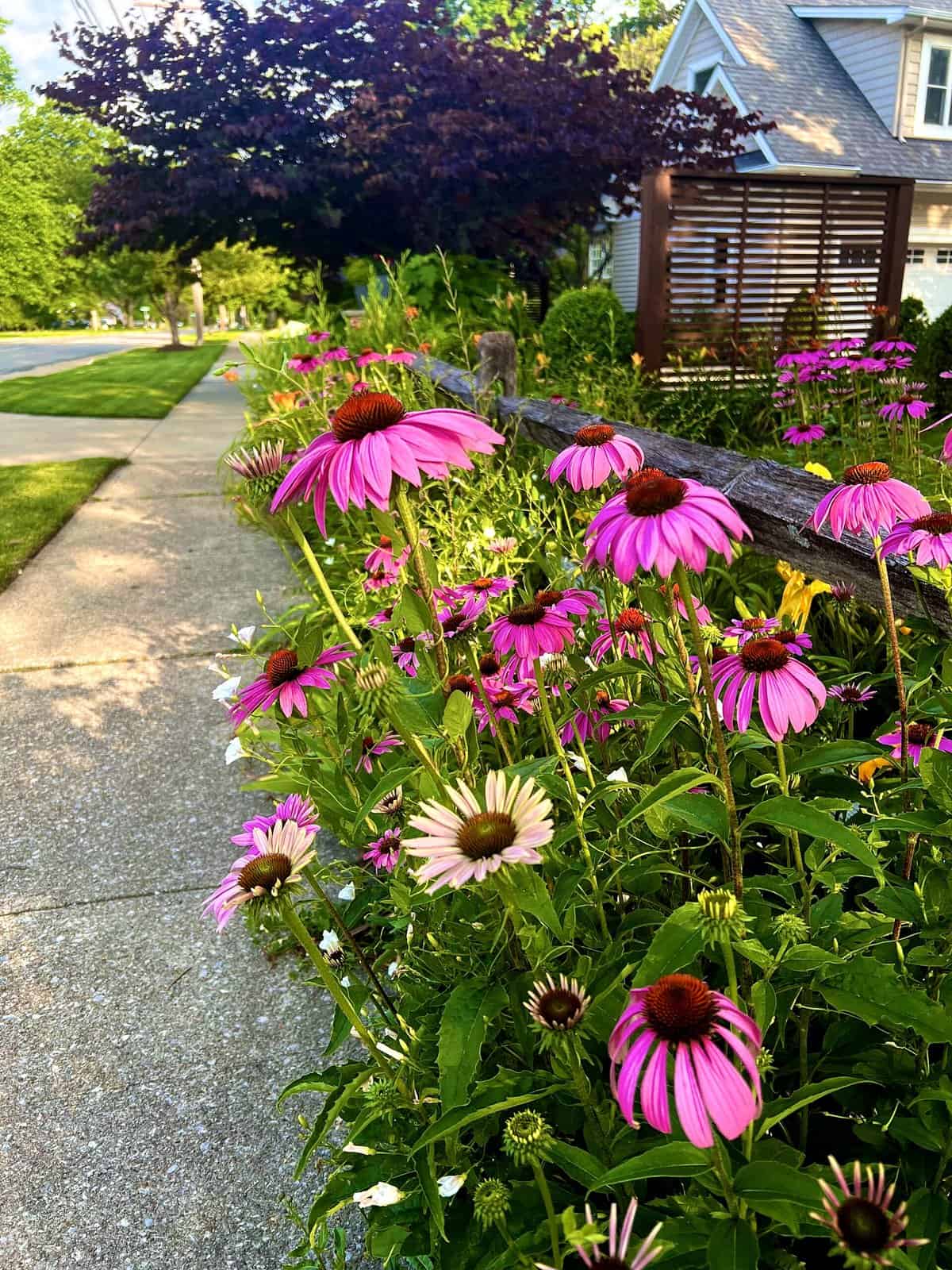 Nine Favorite Things | halfbakedharvest.com