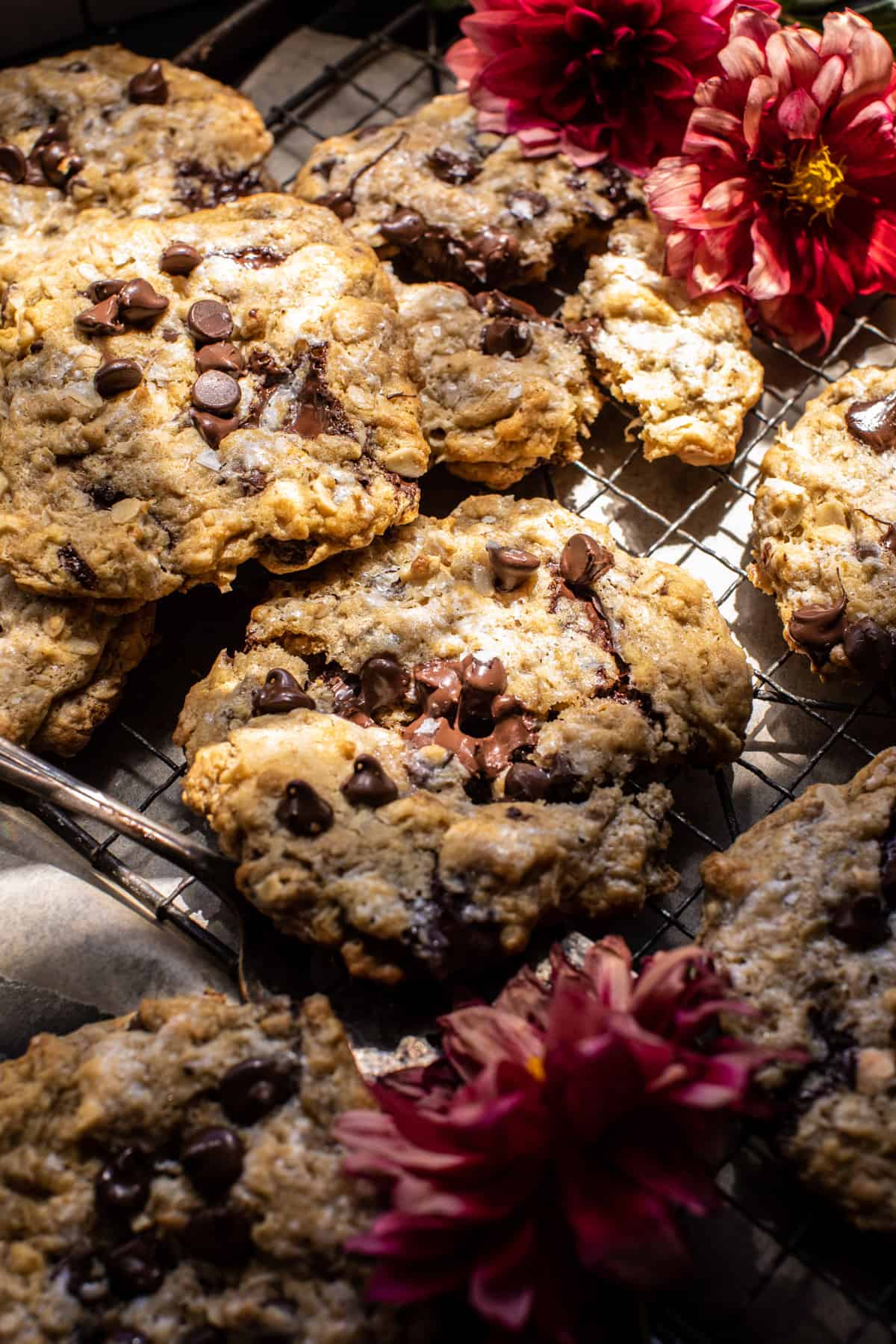 Giant Magic Oatmeal Chocolate Chip Cookies | halfbakedharvest.com
