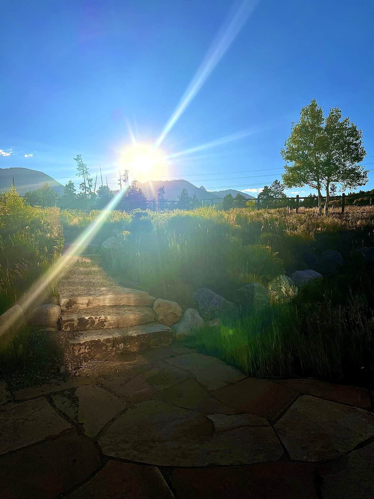 Nine Favorite Things | halfbakedharvest.com