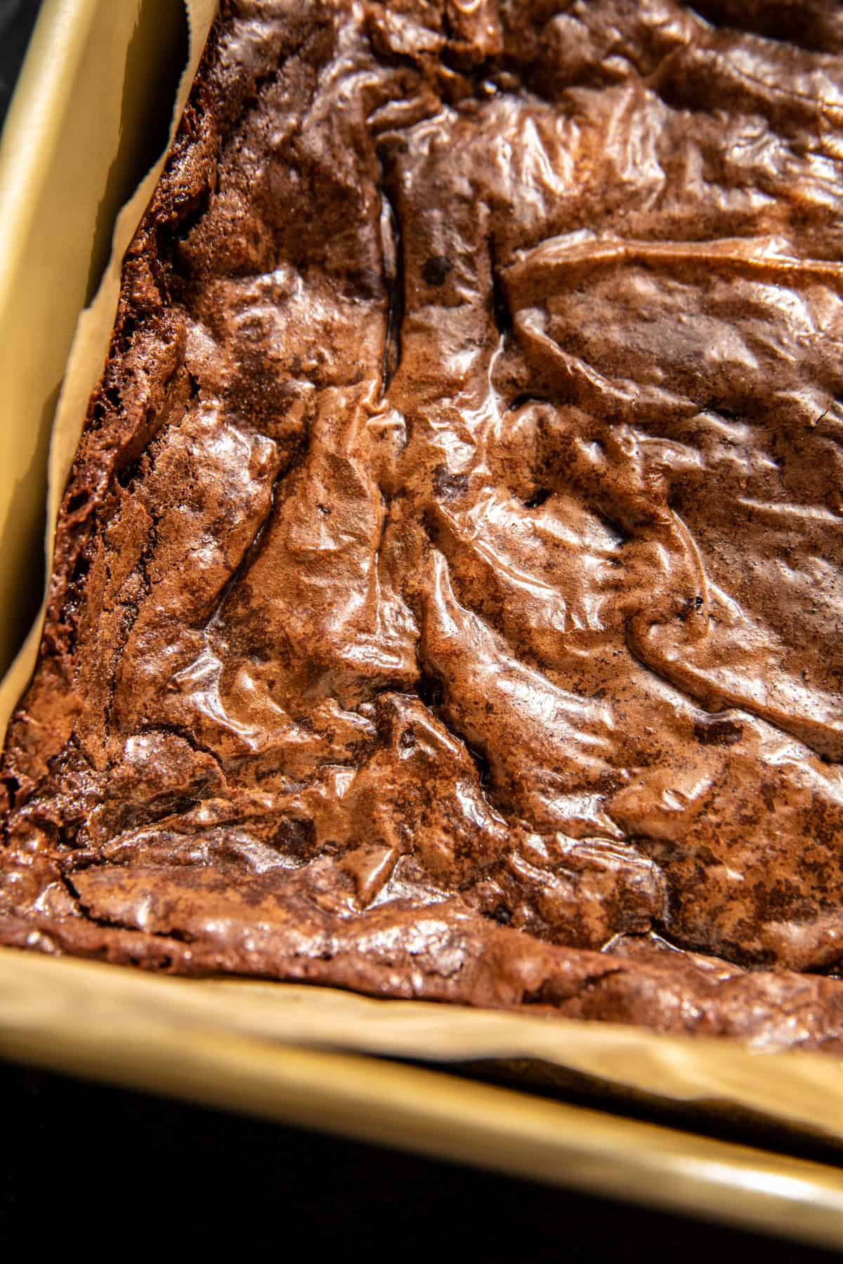 Gooey Pecan Pie Brownies| halfbakedharvest.com