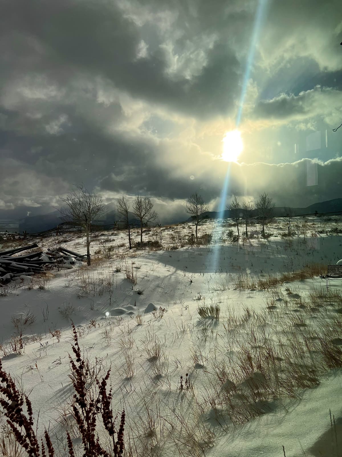 Nine Favorite Things | halfbakedharvest.com