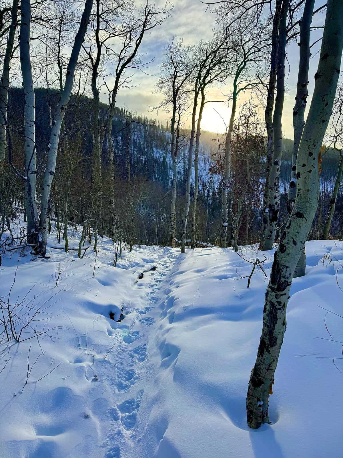 Nine Favorite Things | halfbakedharvest.com