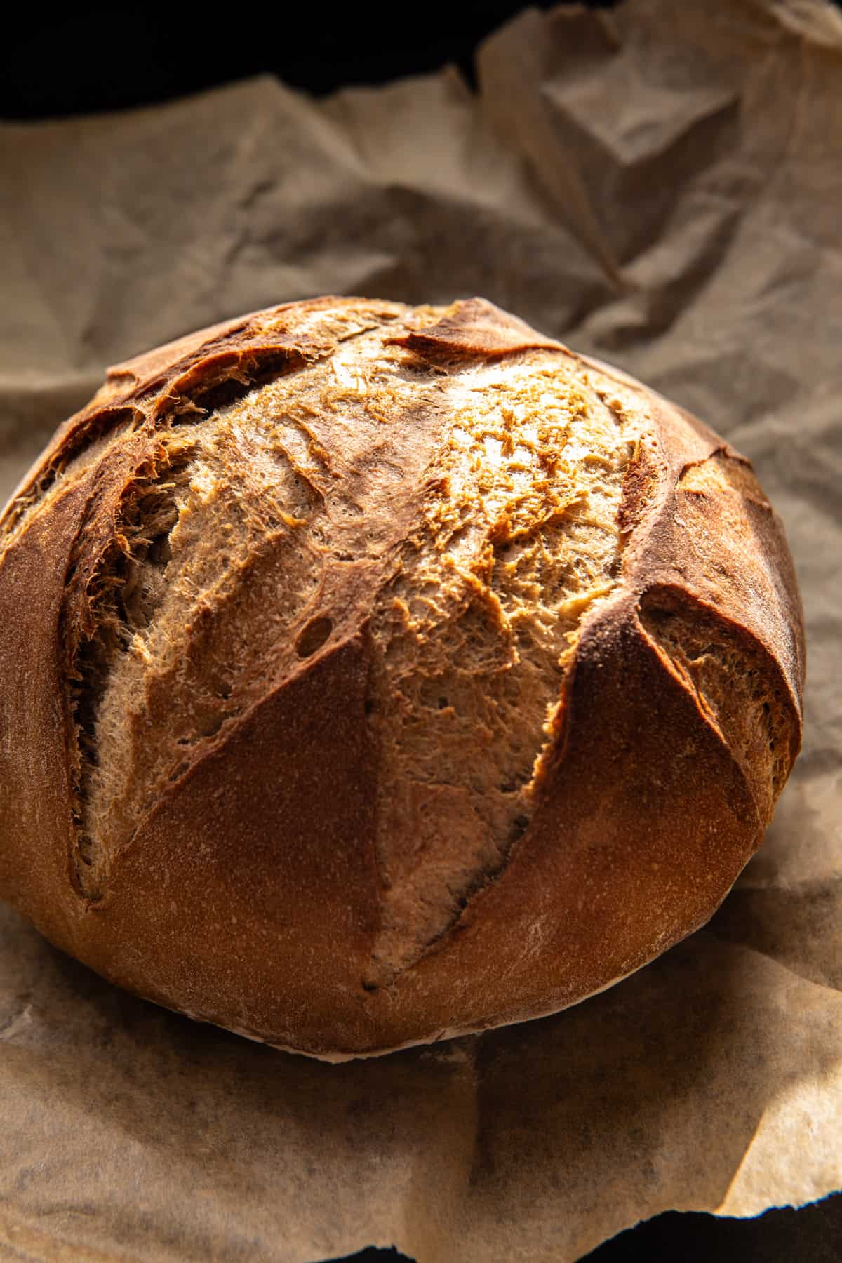 Lemony Pesto Chicken Noodle Soup | halfbakedharvest.com