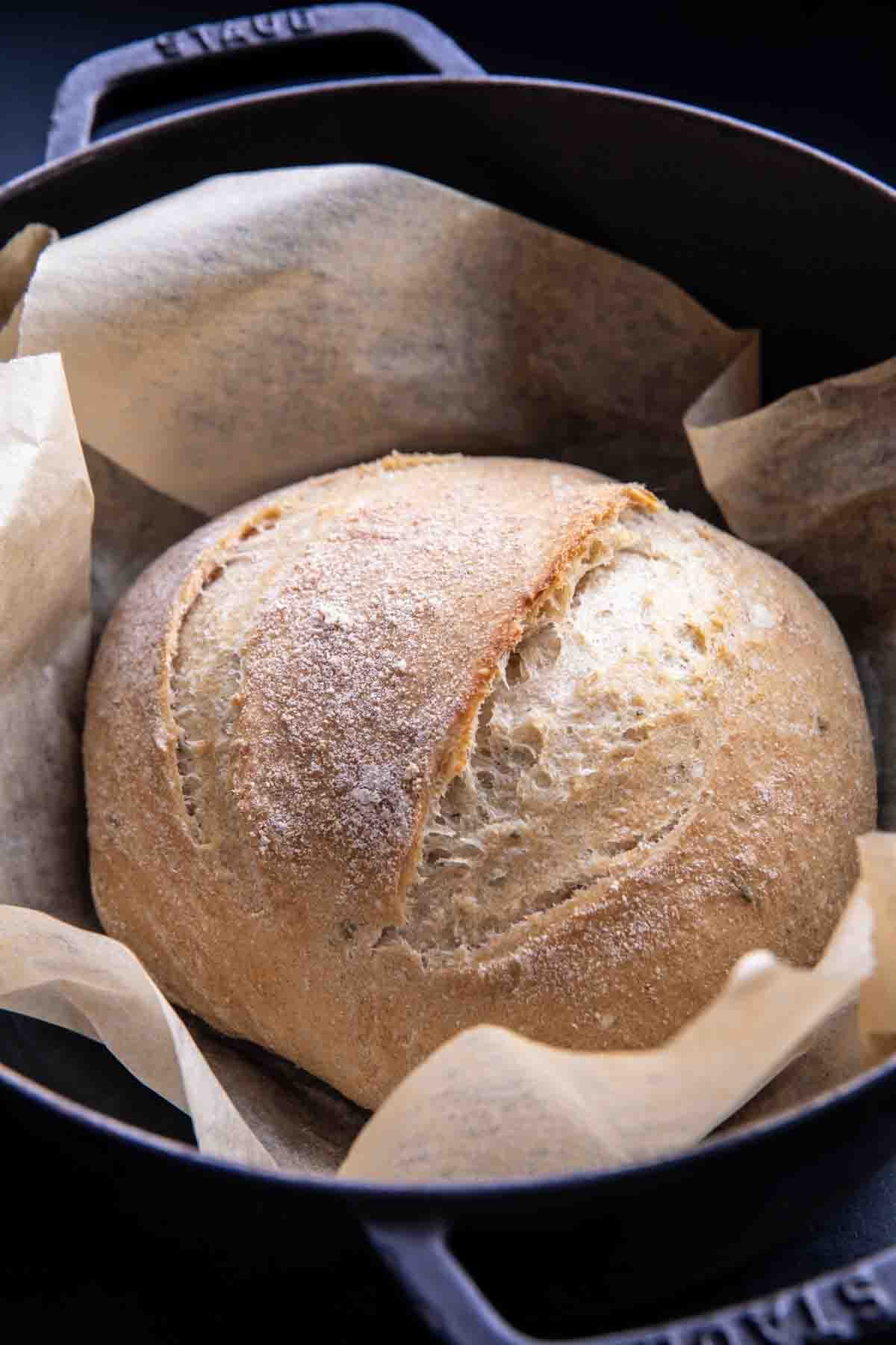 The Best (easiest) No Knead Bread | halfbakedharvest.com