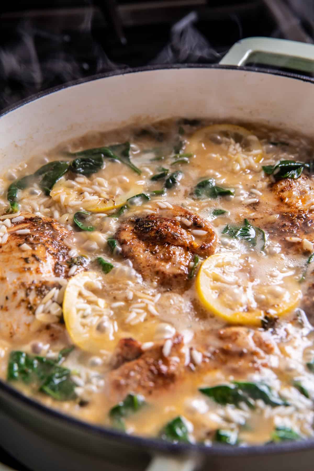 One skillet Greek Lemon Chicken and Rice | halfbakedharvest.com