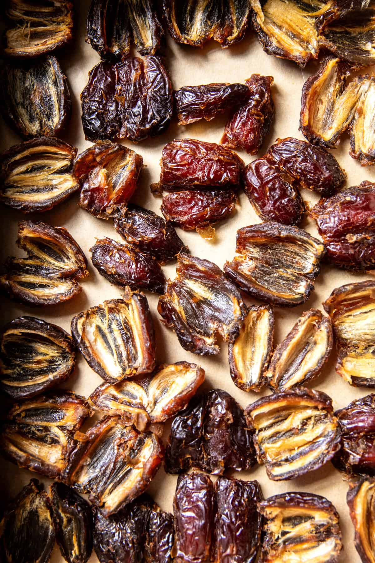 Chewy Chocolate Peanut Butter Crunch Bars | halfbakedharvest.com