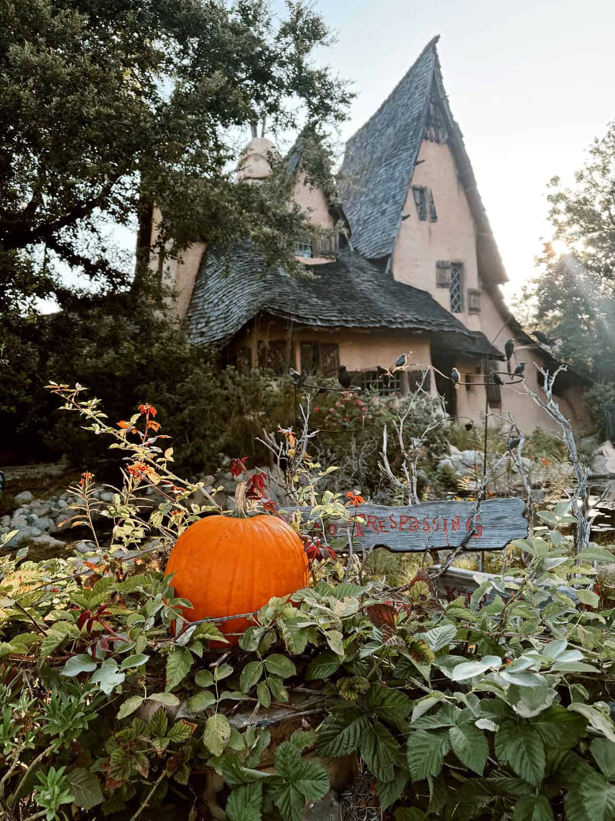 nine favorite things 