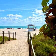 Nine Favorite Things | halfbakedharvest.com