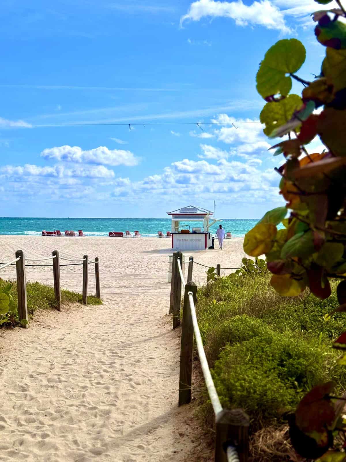 Nine Favorite Things | halfbakedharvest.com