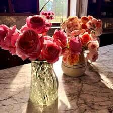 Nine Favorite Things | halfbakedharvest.com