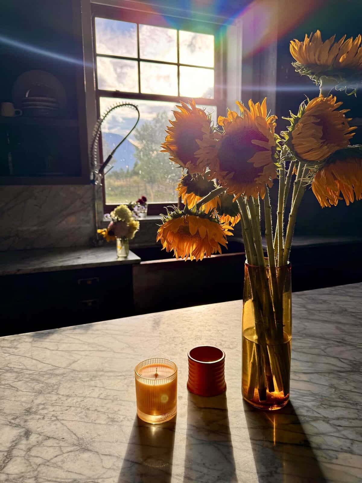 Nine Favorite Things | halfbakedharvest.com