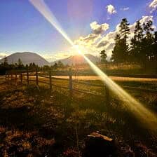 Nine Favorite Things | halfbakedharvest.com