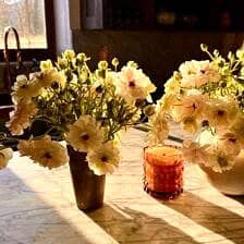 Nine Favorite Things | halfbakedharvest.com