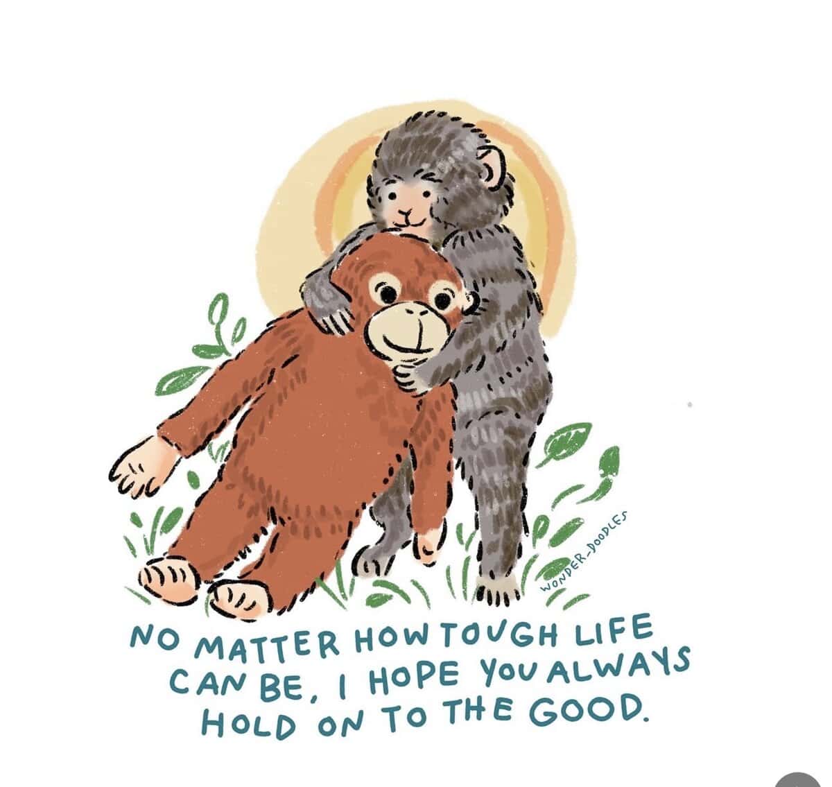 Nine Favorite Things | halfbakedharvest.com